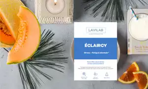 Code rduc Lavilab